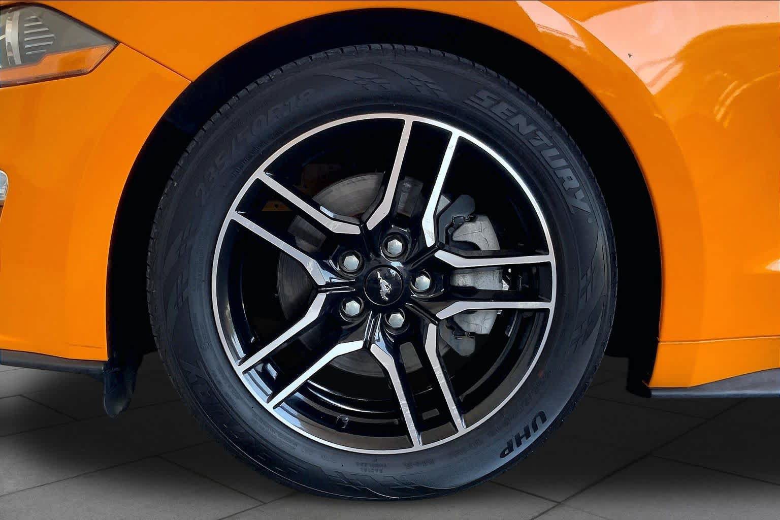 Used 2019 Ford Mustang Premium w/ Equipment Group 201A RWD image 10