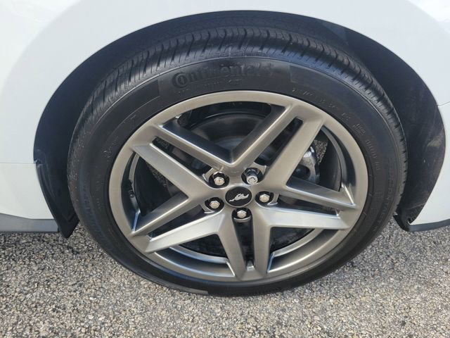 Certified 2025 Ford Mustang EcoBoost image 8