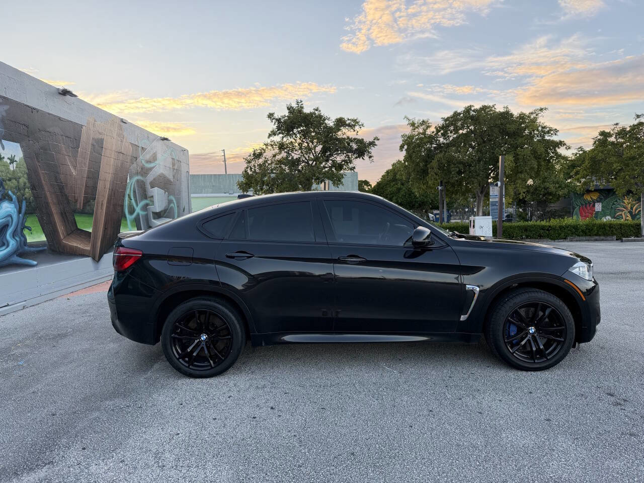 Used 2016 BMW X6 M Base AWD 4dr SUV image 4