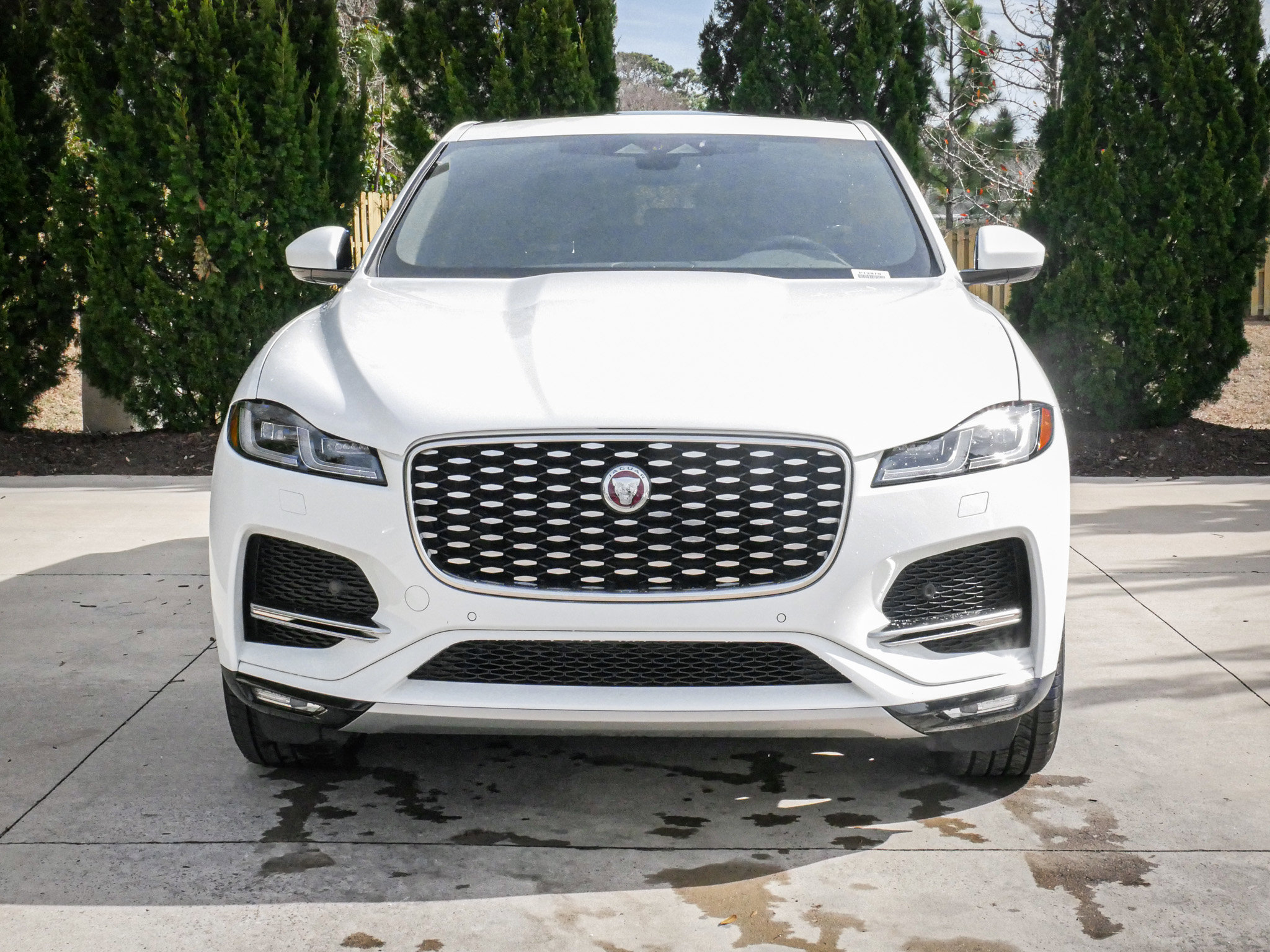 Used 2023 Jaguar F-PACE S image 3