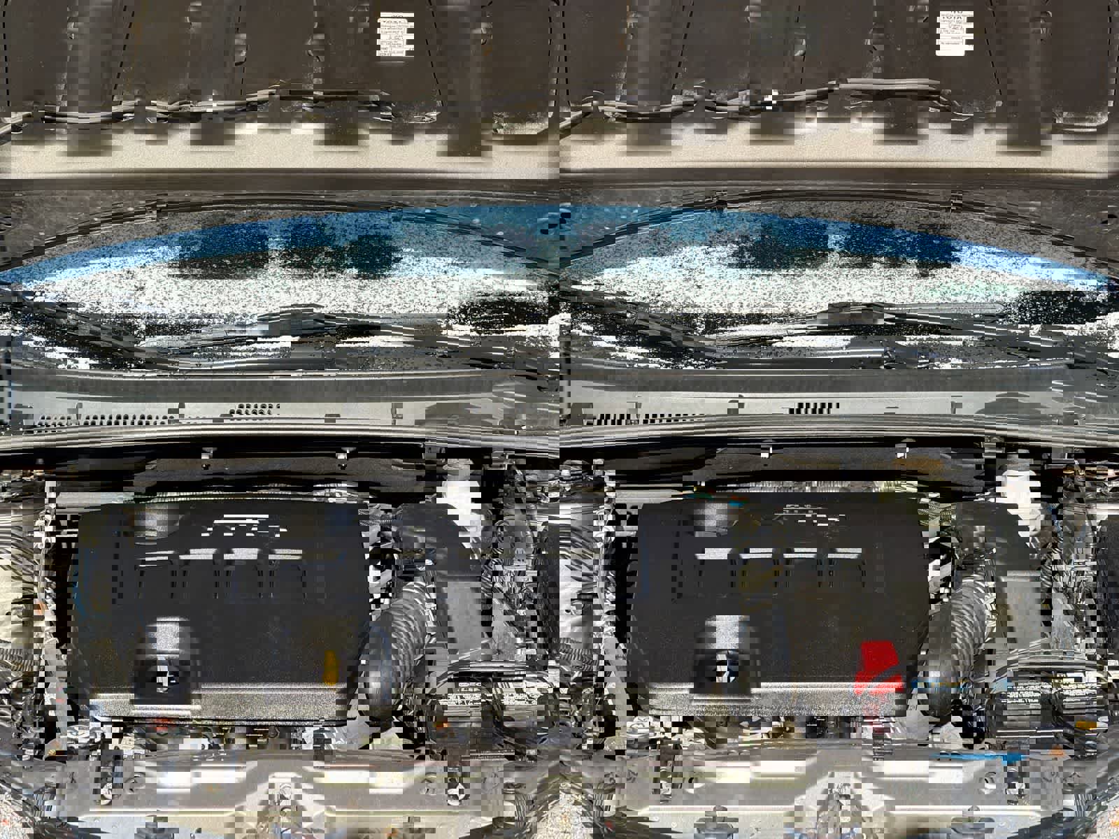 Used 2019 Toyota Corolla XLE image 15