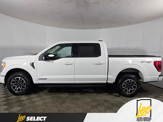 Used 2023 Ford F150 XLT w/ Equipment Group 302A High AWD/4WD image 11