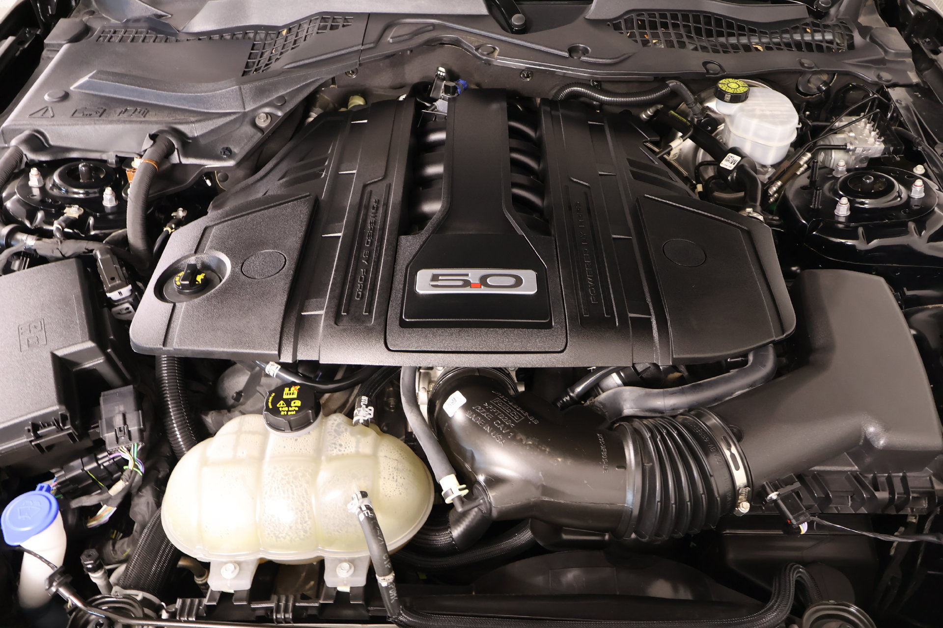 Used 2022 Ford Mustang GT w/ Equipment Group 301A RWD image 17