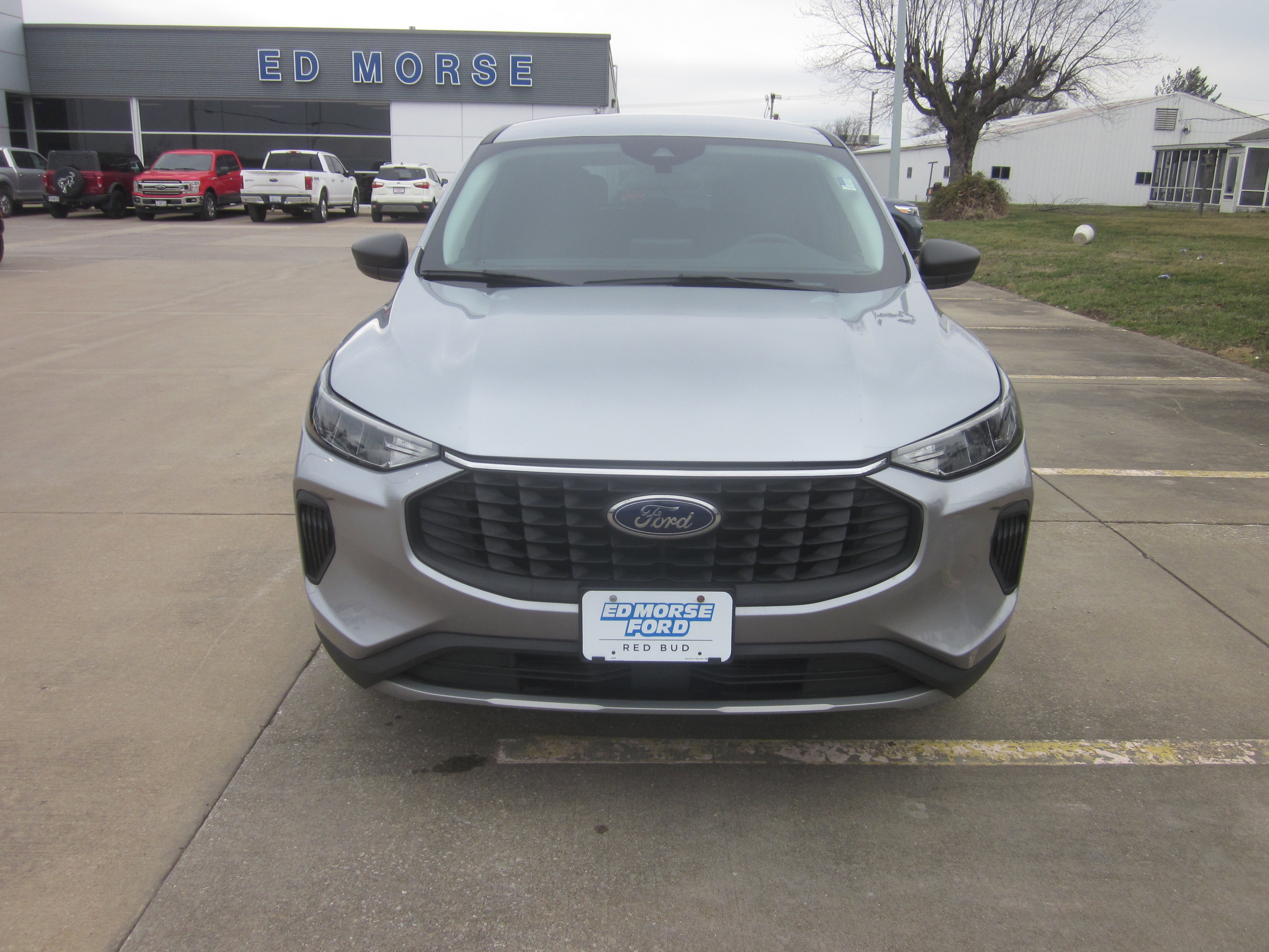Used 2024 Ford Escape Active image 2