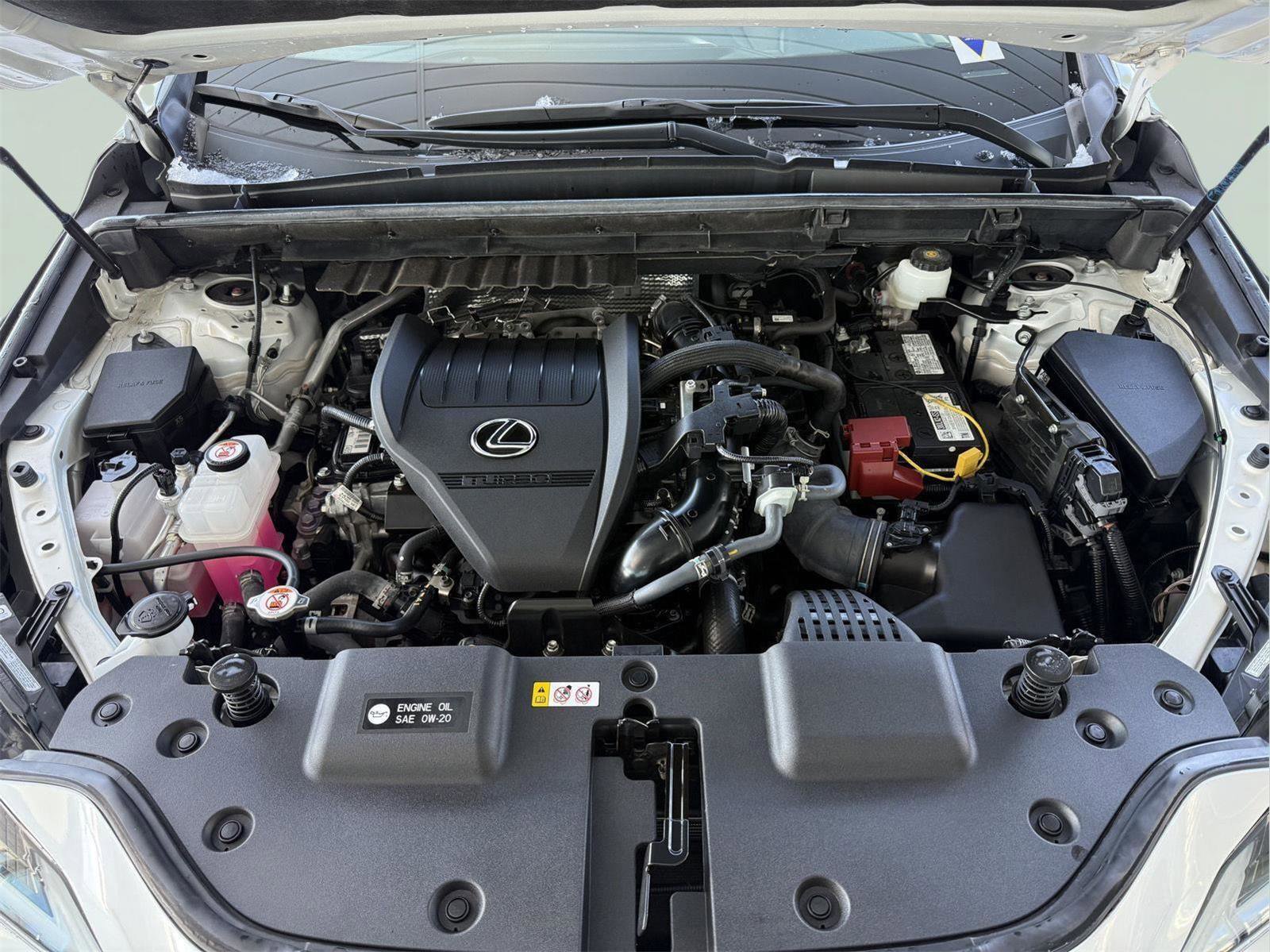 Used 2022 Lexus NX 350 350 w/ Cold Area Package image 30