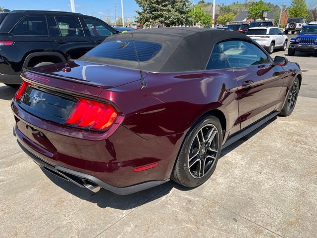 Used 2018 Ford Mustang Premium w/ Equipment Group 201A RWD image 6