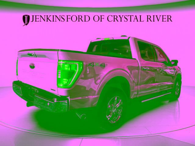 Used 2023 Ford F150 XLT w/ Equipment Group 302A High AWD/4WD image 2
