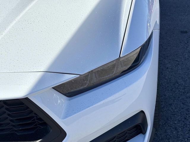 New 2026 Ford Mustang Coupe w/ Mustang Nite Pony Package image 9