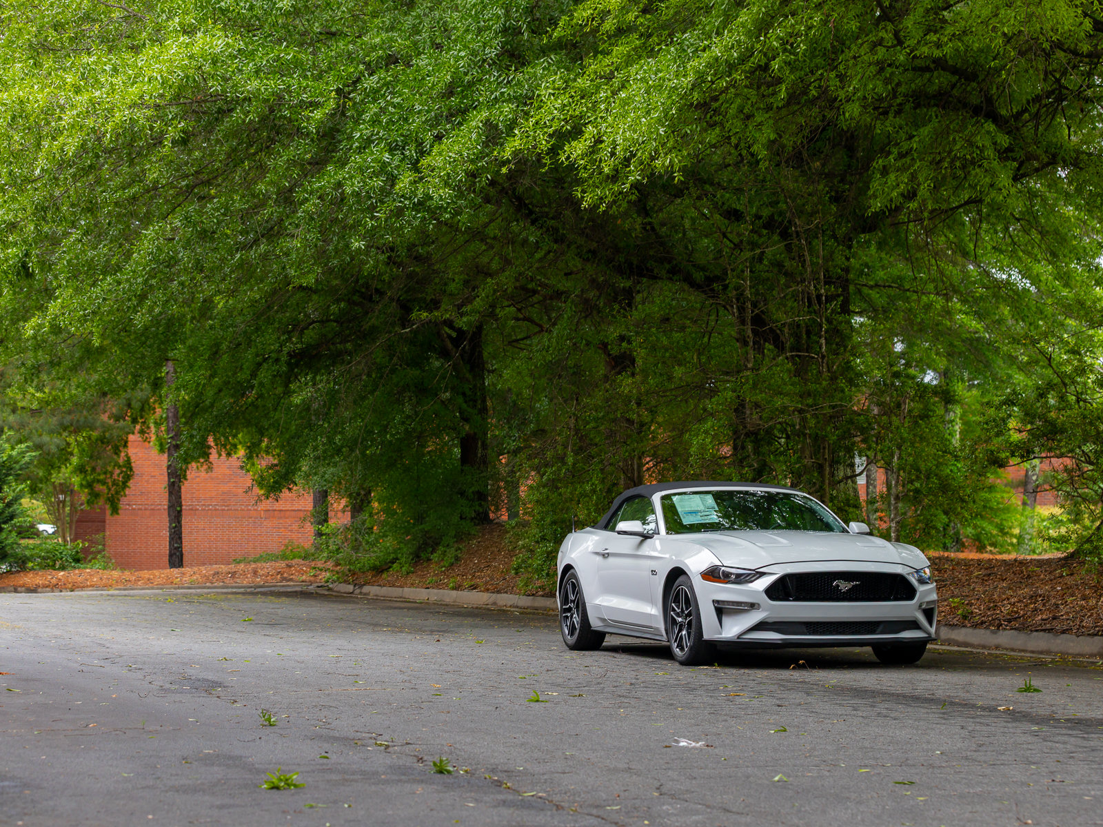 Used 2019 Ford Mustang GT Premium w/ Equipment Group 401A RWD image 35