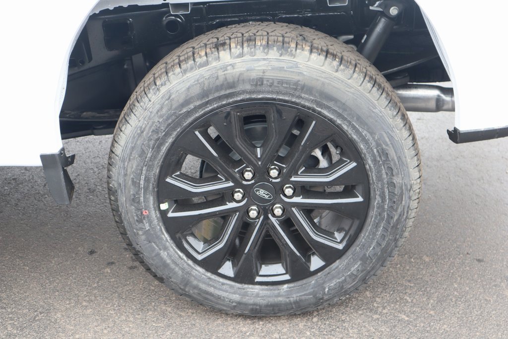 New 2025 Ford F150 XLT w/ Equipment Group 302A MID image 20