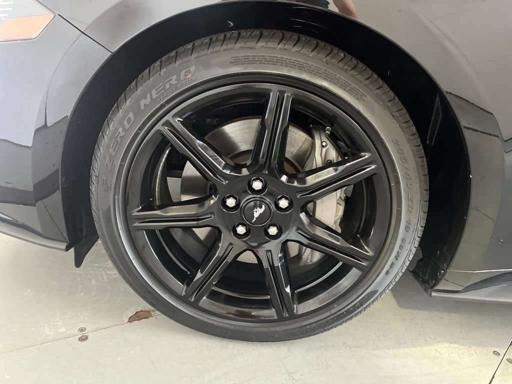Used 2019 Ford Mustang GT w/ Equipment Group 301A RWD image 14