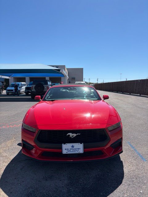 Used 2025 Ford Mustang Premium RWD image 2