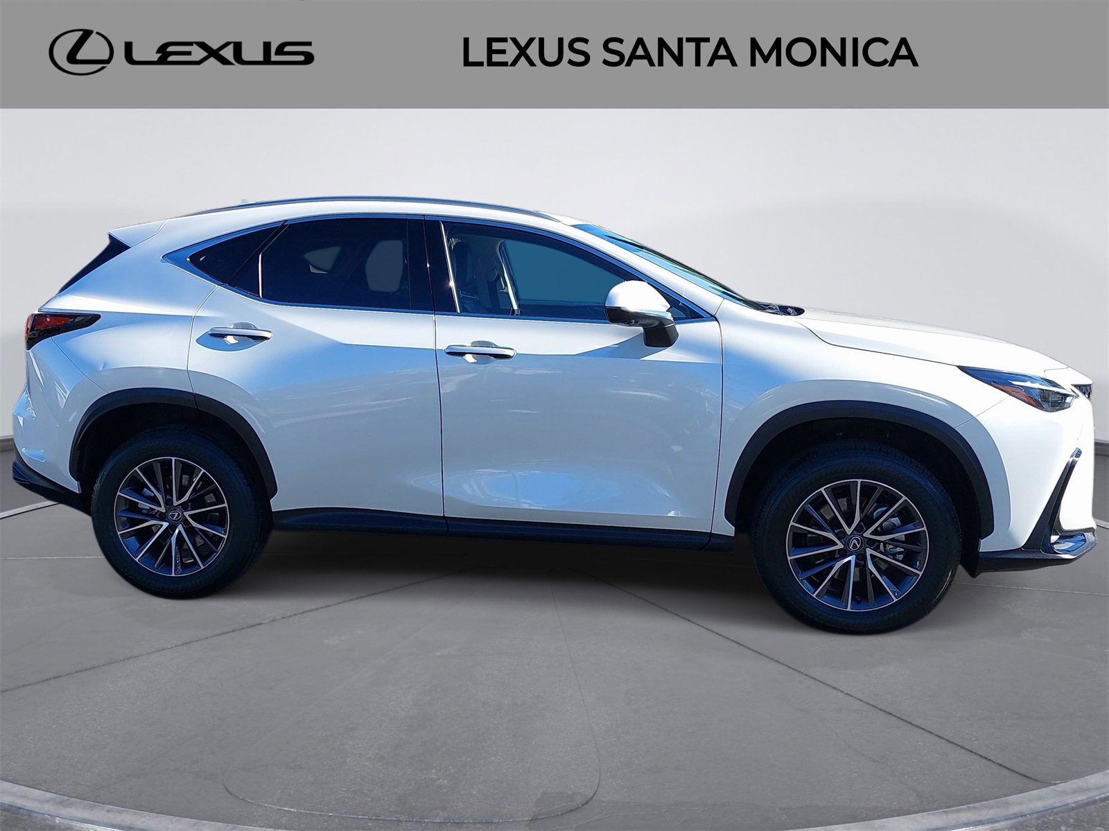 Used 2025 Lexus NX 350h AWD w/ Premium Package image 4