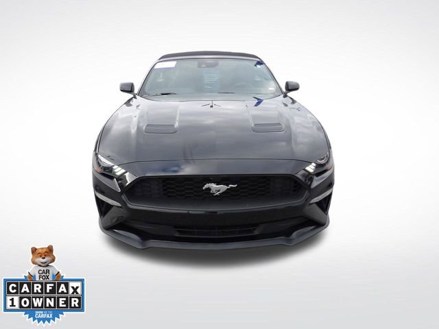 Certified 2023 Ford Mustang Premium image 2