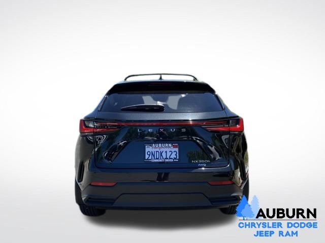 Used 2025 Lexus NX 350h AWD w/ Cold Area Package image 6
