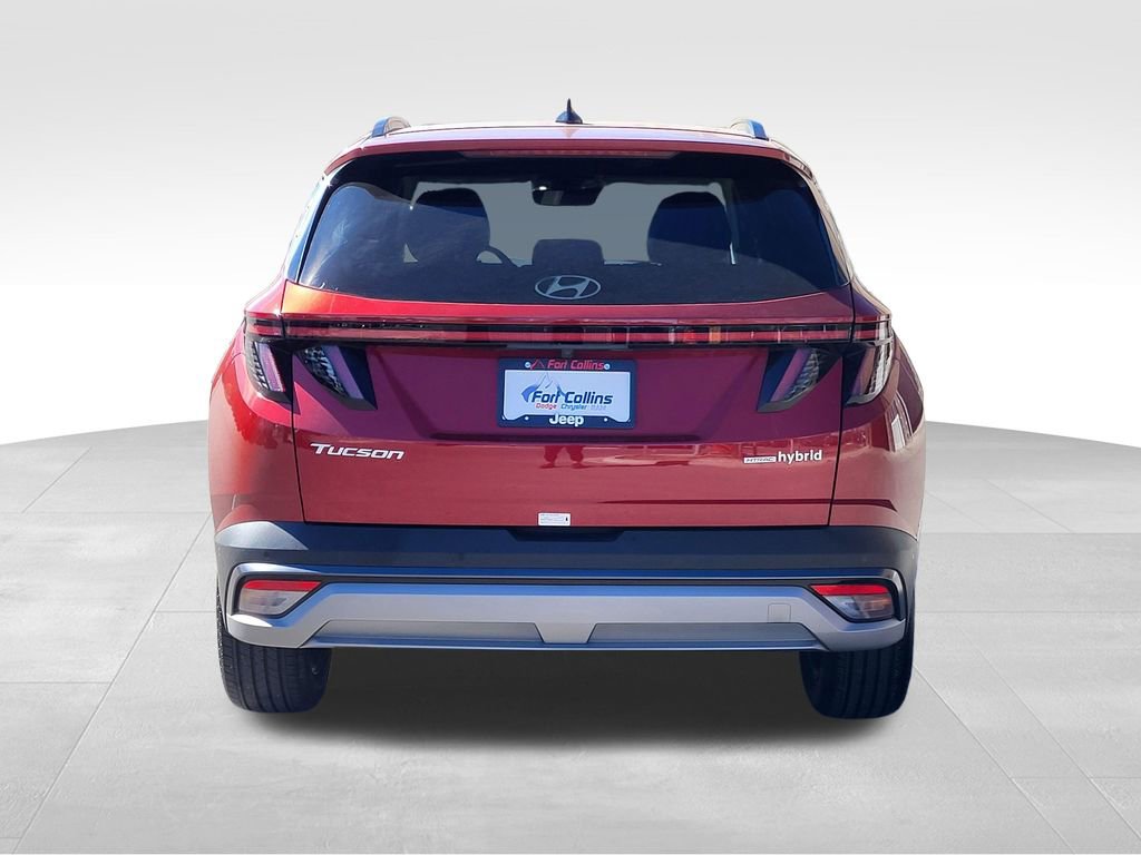 Used 2025 Hyundai Tucson Limited image 7
