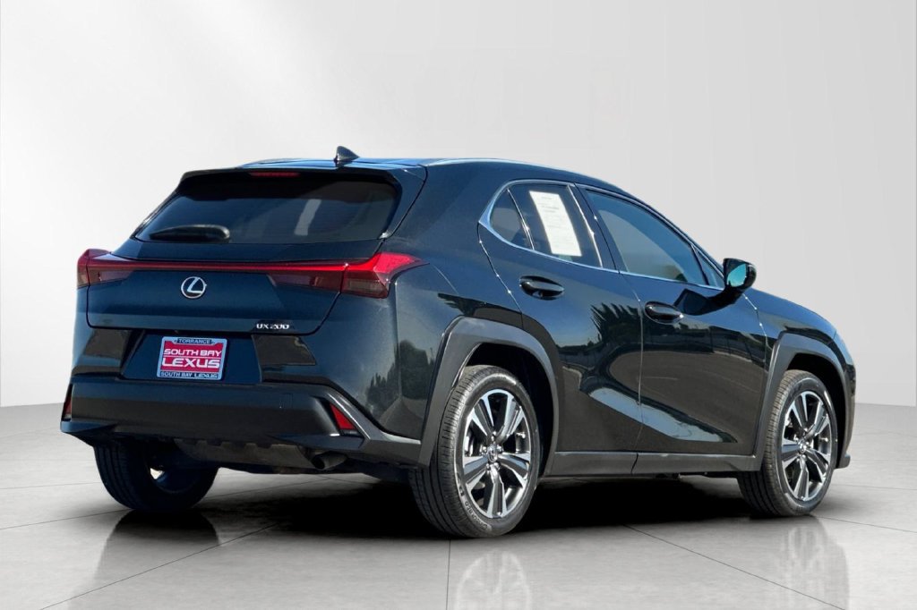Used 2019 Lexus UX 200 w/ Premium Package FWD image 6