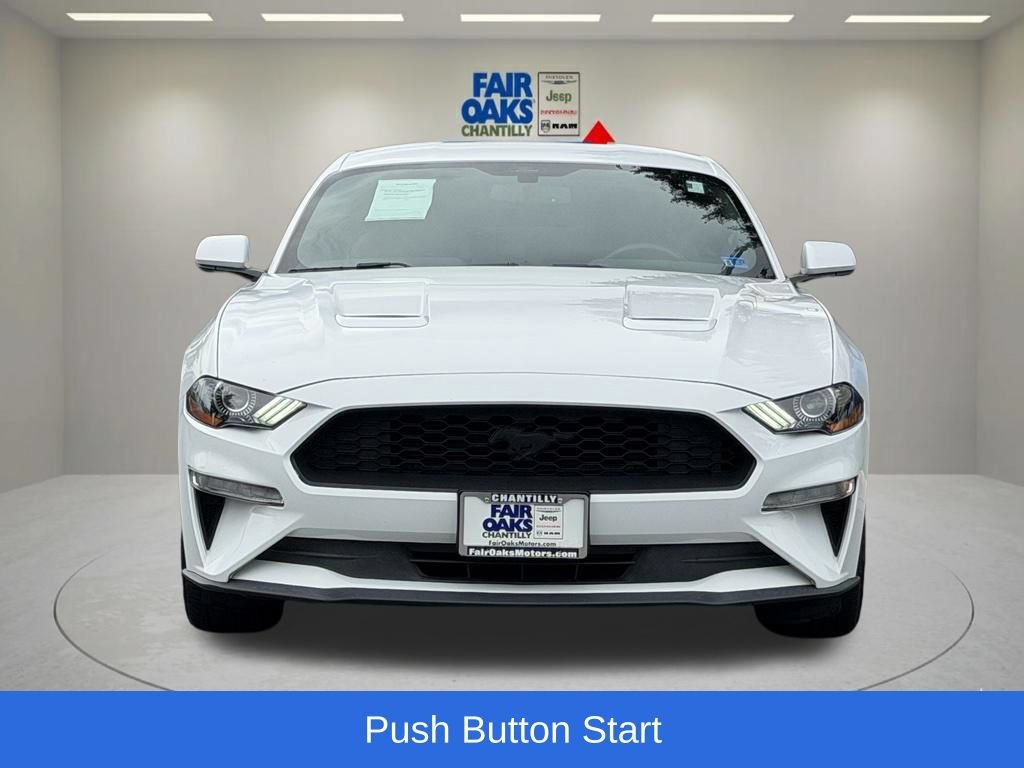Used 2019 Ford Mustang Coupe w/ Equipment Group 101A RWD image 5