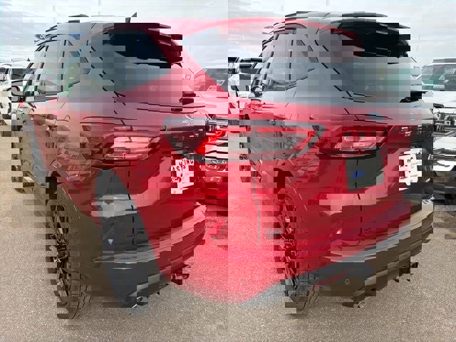 New 2026 Ford Escape ST-Line Elite w/ Premium Technology Package image 4