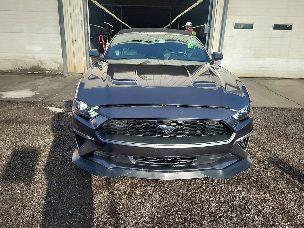Used 2019 Ford Mustang Premium image 2