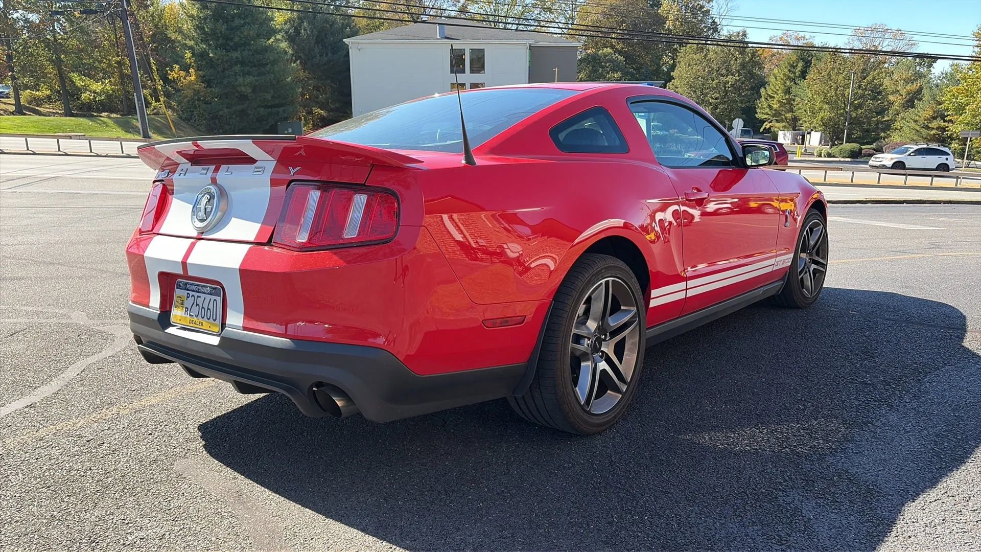 Used 2010 Ford Mustang Shelby GT500 image 10