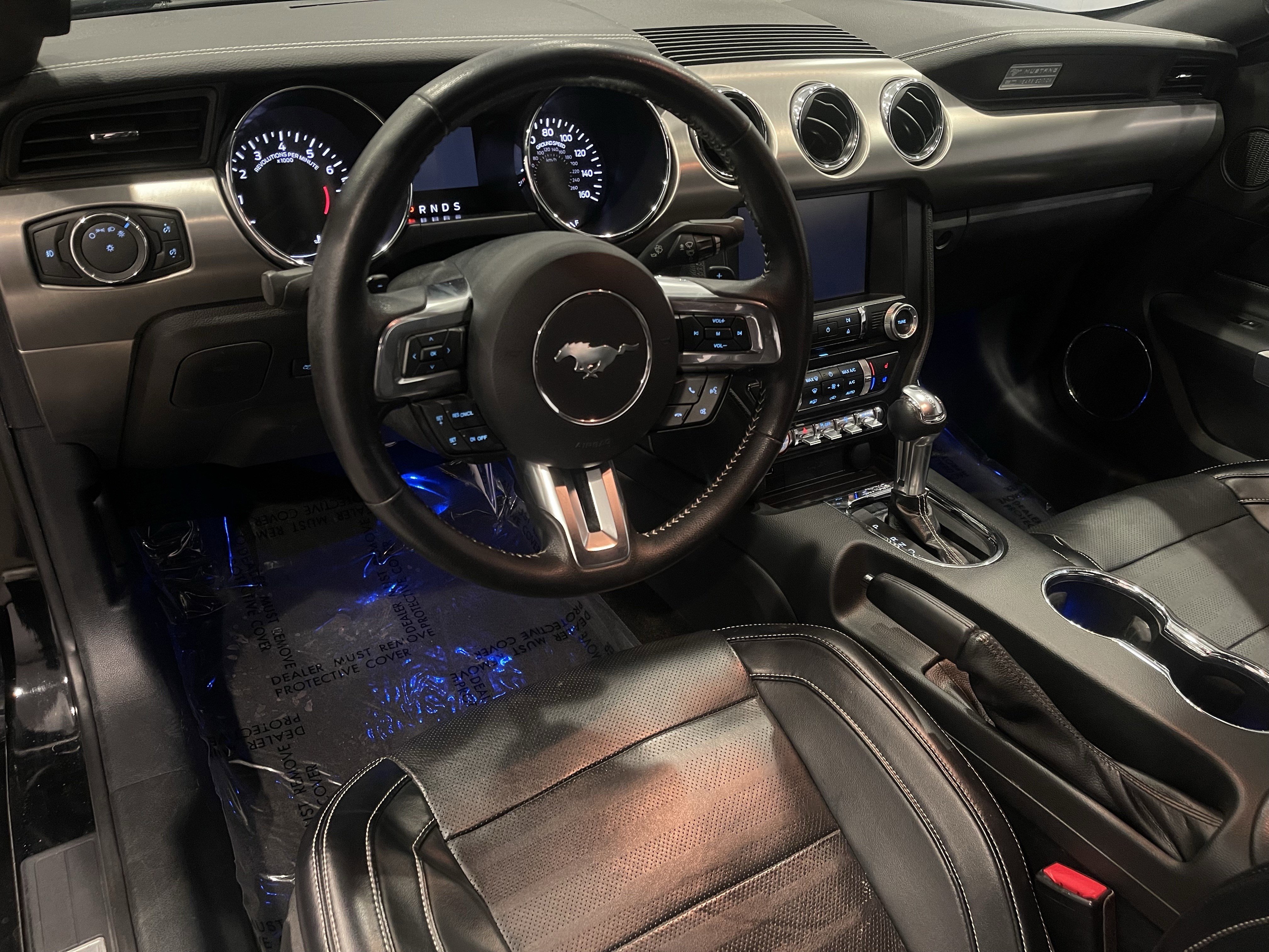 Used 2015 Ford Mustang GT Premium w/ 50 Years Appearance Package RWD image 13