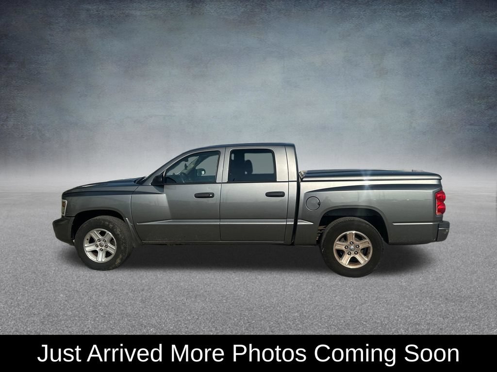 Used 2011 Dodge Dakota Big Horn w/ Convenience Group RWD image 3