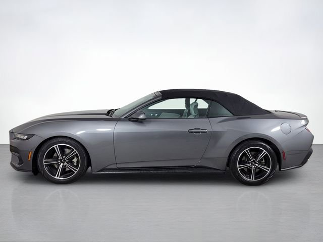 Certified 2024 Ford Mustang Premium image 6