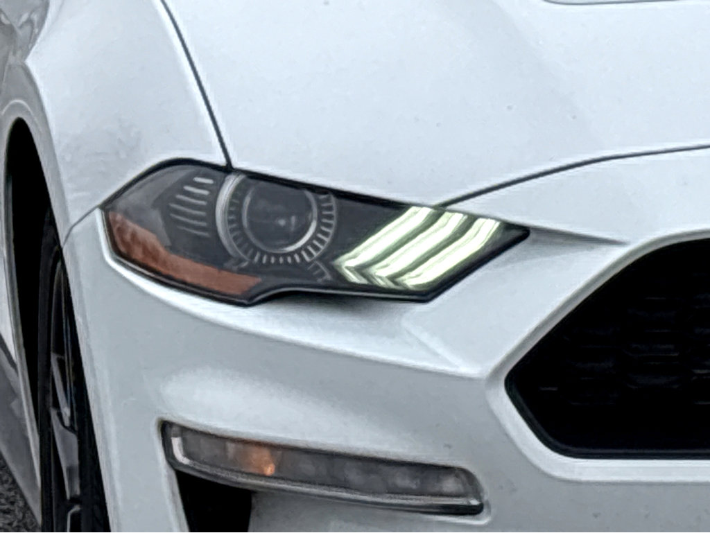 Used 2023 Ford Mustang Premium image 18