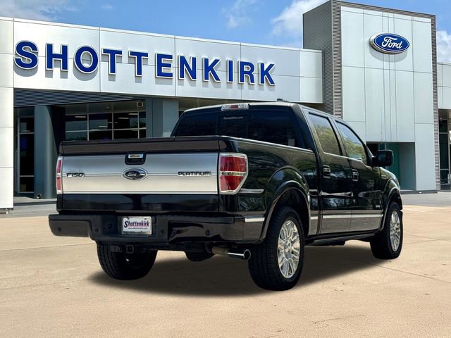 Used 2013 Ford F150 Platinum image 8