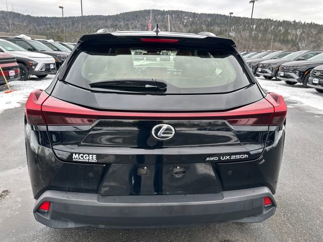 Used 2024 Lexus UX 250h AWD w/ Premium Package image 4