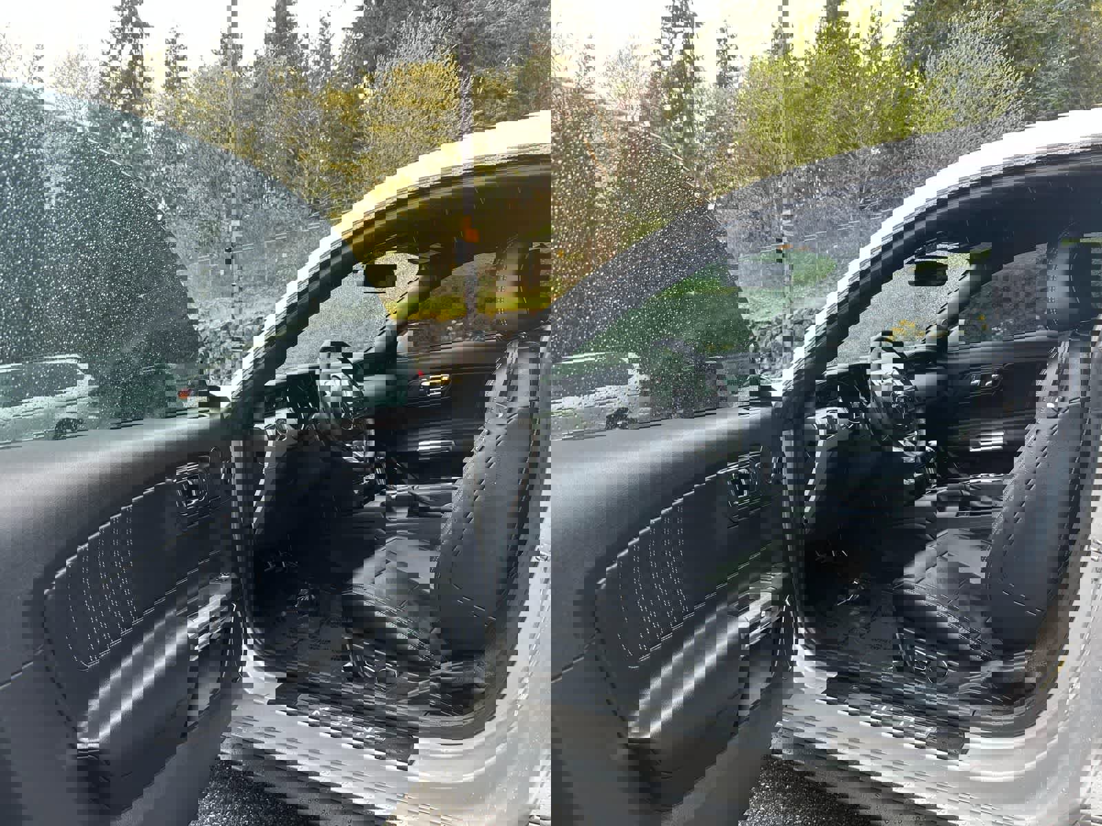 Used 2015 Ford Mustang Premium w/ Equipment Group 201A RWD image 15