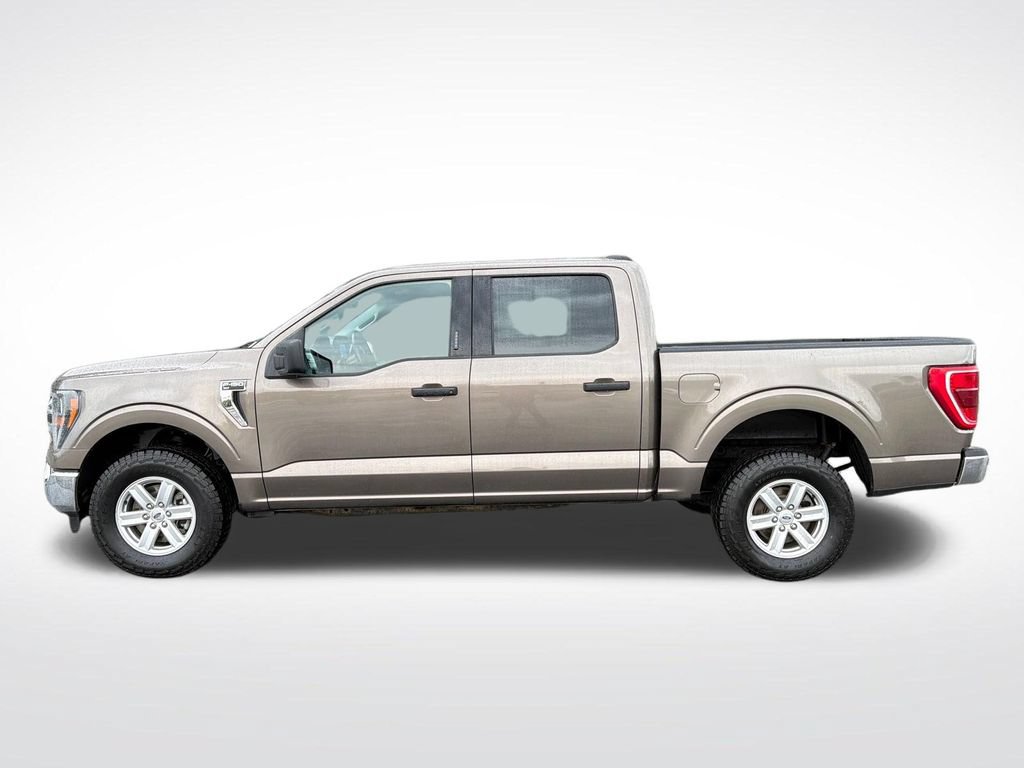 Used 2023 Ford F150 XLT w/ Equipment Group 301A Mid AWD/4WD image 2