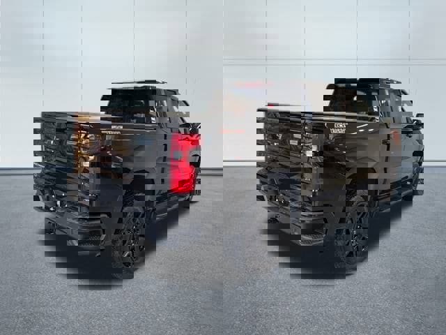 Used 2023 Chevrolet Silverado 1500 LT Trail Boss w/ Protection Package image 7