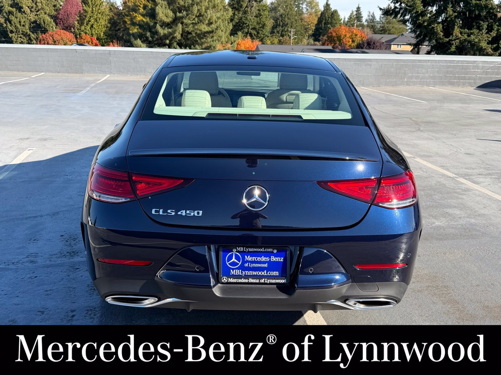 Used 2019 Mercedes-Benz CLS 450 image 6