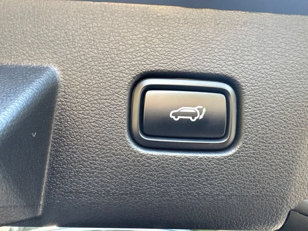 Used 2024 Kia Sportage X-Line Prestige AWD/4WD image 8