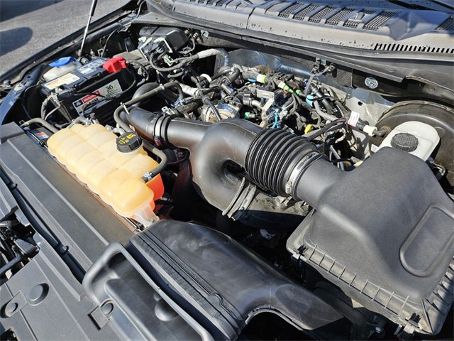 Used 2019 Ford F150 XLT w/ Equipment Group 302A Luxury image 19