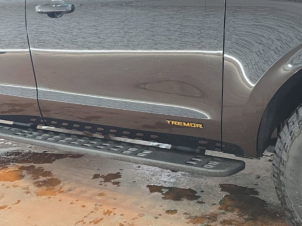 Used 2025 Ford Expedition Tremor image 8