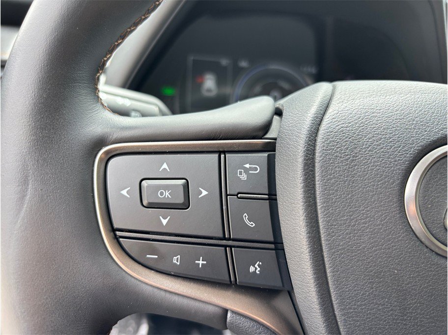 Used 2021 Lexus UX 250h w/ Premium Package AWD/4WD image 26