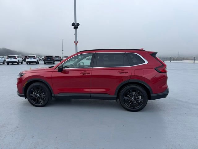Certified 2023 Honda CR-V Sport Touring image 9