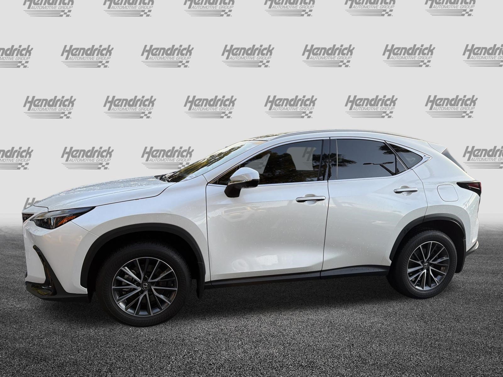 Certified 2024 Lexus NX 350 AWD w/ Vision Package image 6
