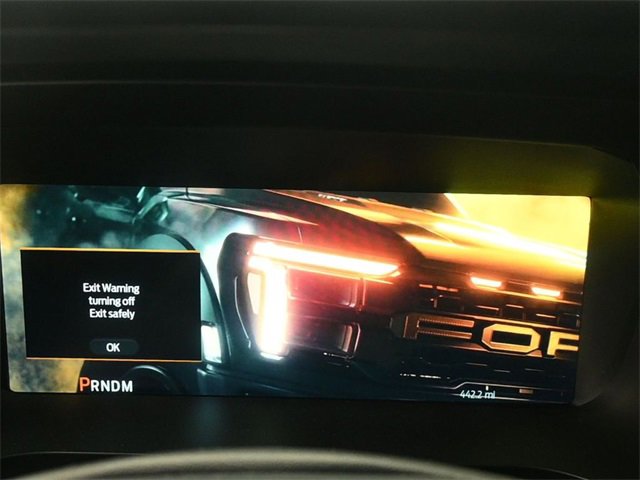 New 2025 Ford F150 Raptor image 12