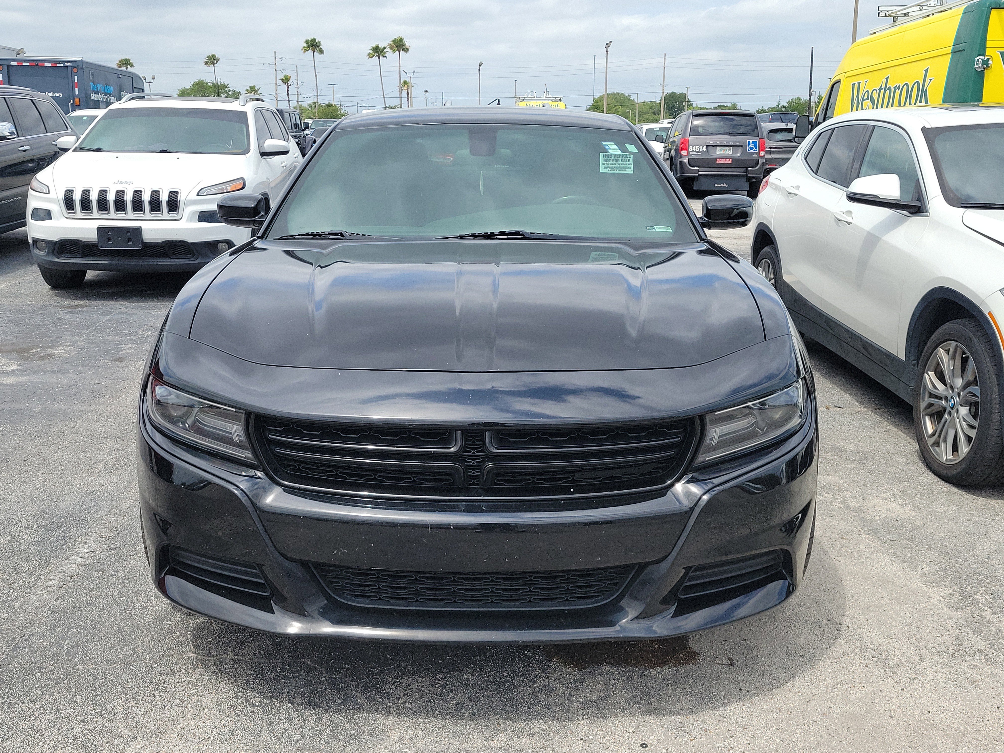 Used 2020 Dodge Charger SXT w/ Blacktop Package RWD image 2