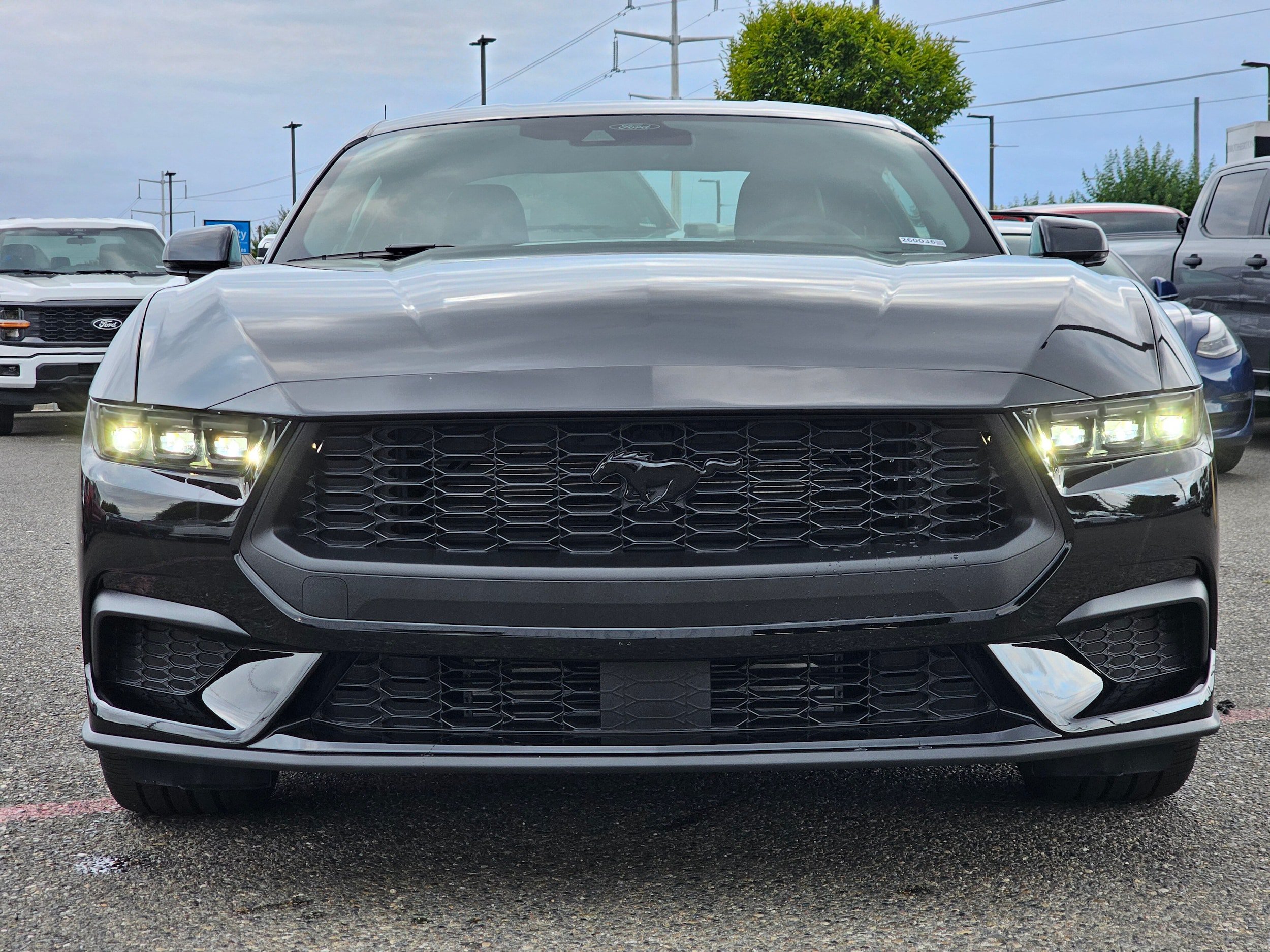 New 2026 Ford Mustang Premium RWD image 2