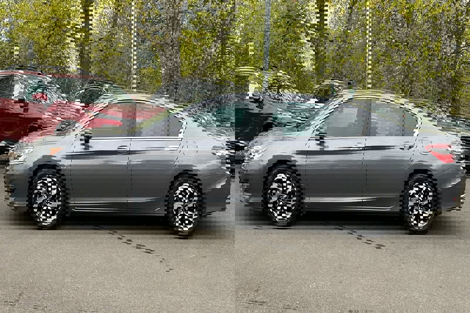 Used 2017 Honda Accord EX-L image 5