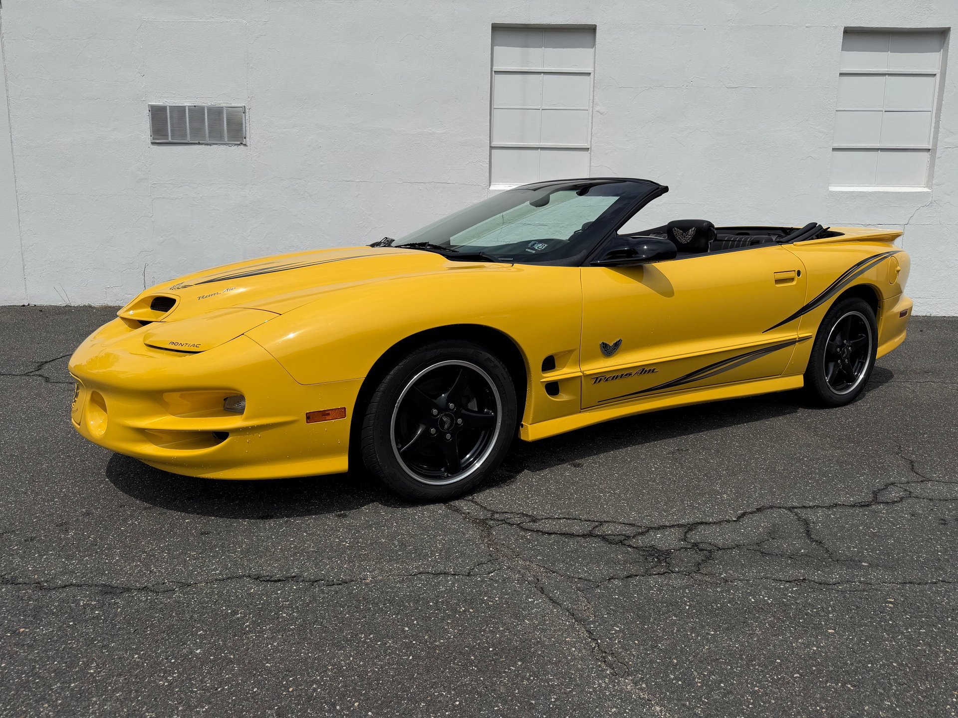 Used 2002 Pontiac Firebird Trans Am RWD image 3