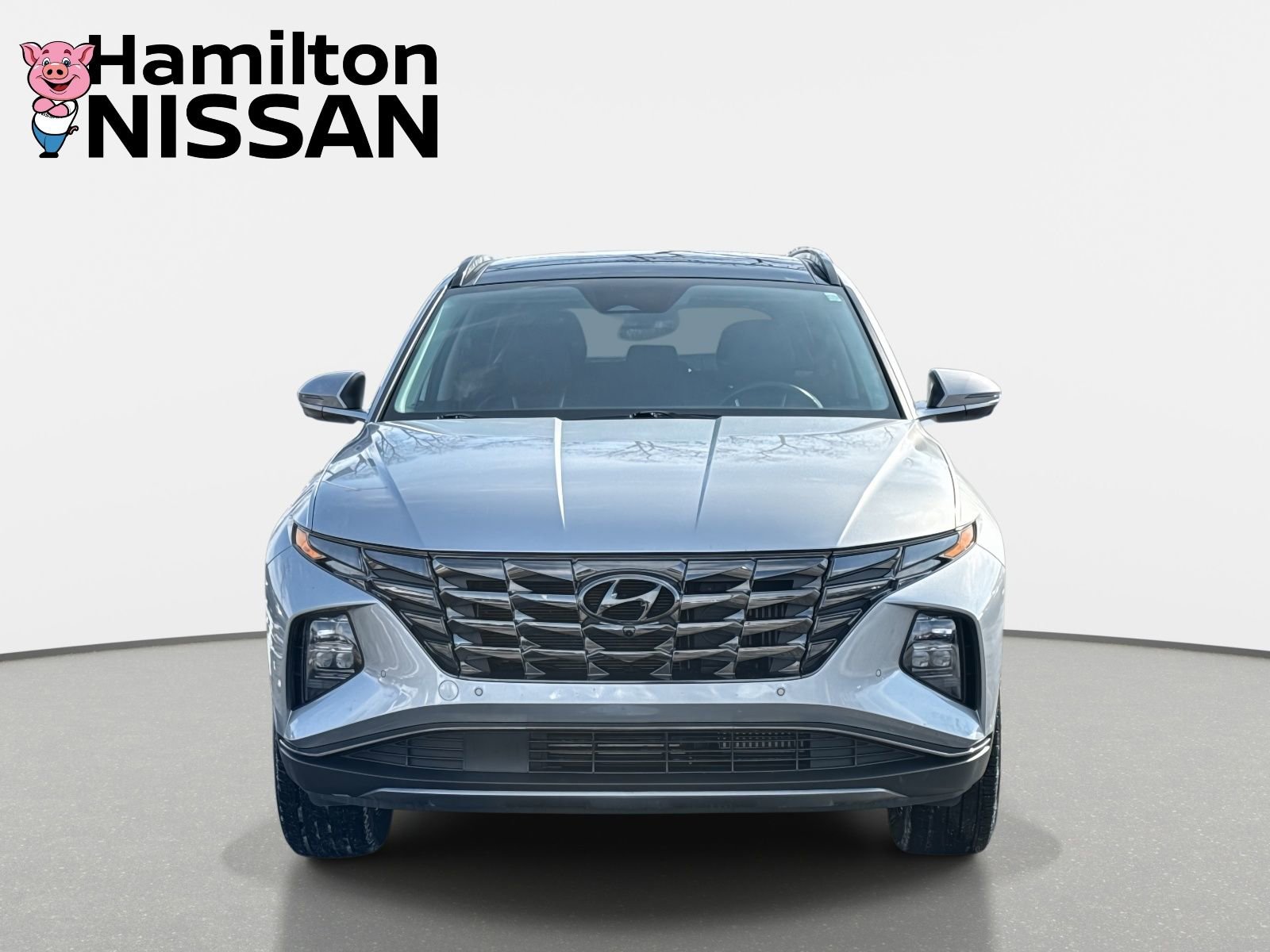 Used 2024 Hyundai Tucson Limited image 6