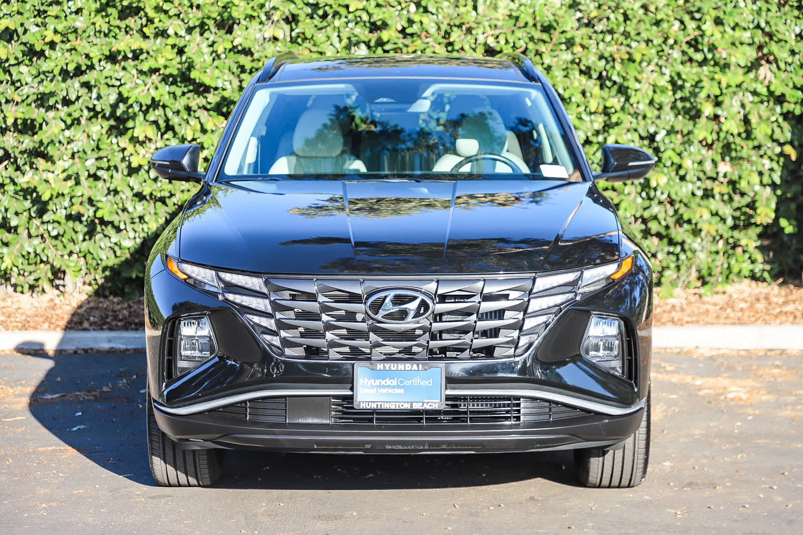 Certified 2024 Hyundai Tucson SEL AWD/4WD image 2