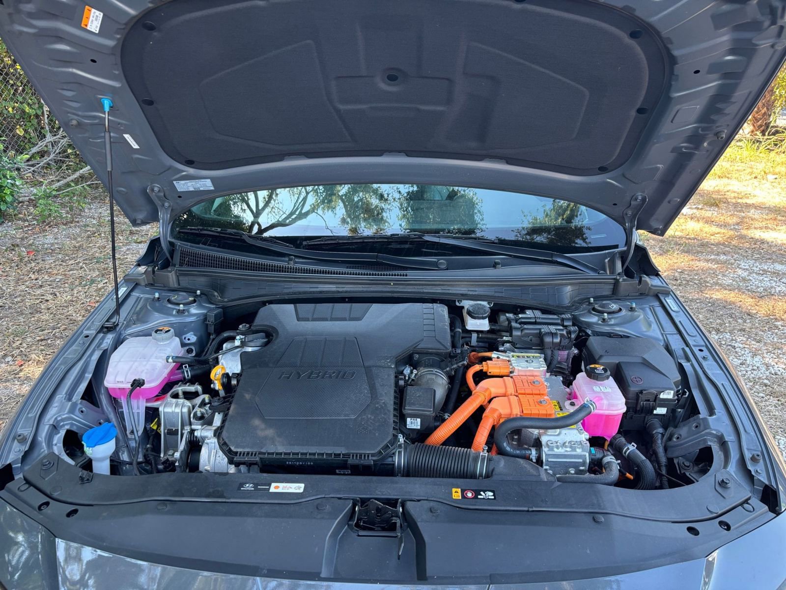 Used 2025 Hyundai Elantra Limited image 33