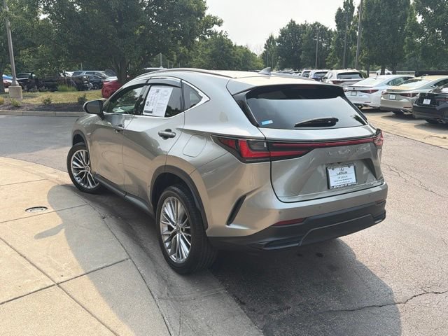 Certified 2023 Lexus NX 350 AWD w/ Cold Area Package image 5